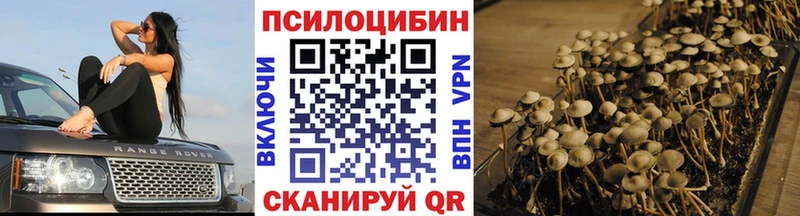 KRAKEN вход  Евпатория  Псилоцибиновые грибы Cubensis 
